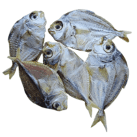 Silver Belly Dry Fish | Mullan Karuvadu | Kaaral-Medium | காரல்-Medium முள்ளன் கருவாடு - Image 3