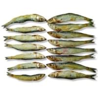 Mural Dry Fish| முரல் Karuvadu | Dry Gar Fish | Dried Needle Fish