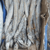 Dry Ribbon Fish | Valai (Vala) Mean Karuvadu - வால கருவாடு Full Fish