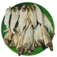 Tasty and Clean Panna Dry Fish | Dry Coaker Fish