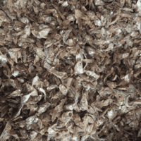 Anchovy For Pet Foods